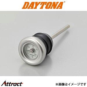 fCgi fBbvXeBbNv HDn N[bL/zCgpl 62487 DAYTONA