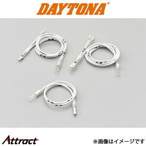 fCgi dC^R[^[p@pXn[lX@IGRC荞TYPE 64230 DAYTONA