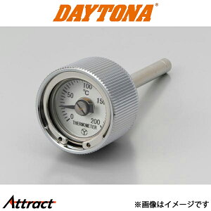 fCgi oCNp fBbvXeBbN v L[ / Snp 93339 DAYTONA