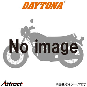 fCgi oCNp }t[Xe[@DS/DSC1100p oCNpi }t[ 46591 DAYTONA