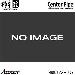 `{ [ReJX^ CBA-L575S Z^[pCv JASMAF DCP310 `{[VO X|[c}t[