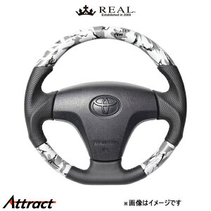 A XeAO IWiV[Y(O[ʃvg)nC[bg gbN S500P TYB-GRT-BK REAL