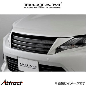 W ROJAM IRT tgOVer.2 nA[ AVU65W 21-FG-HA6021 ROJAM GA O GNXeA