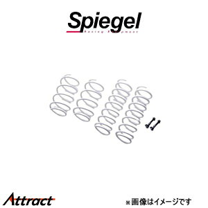 Vs[Q AbvTX Lo[␳{gtLbg nX[ MR31S/MR41S UPKLMR31A-1 Spiegel tgAbv C`Abv