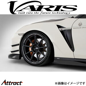 oX tgtF_[ Ver.3 Б20mmCh EZbg XJCC GT-R R35 VANI-249C VARIS GA O JX^