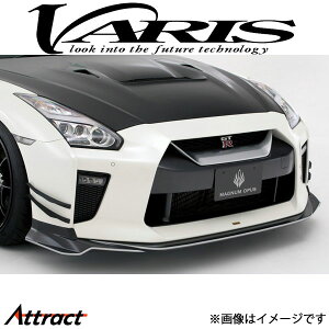 oX tgX|C[ XJCC GT-R R35 VANI-234 VARIS GA O JX^
