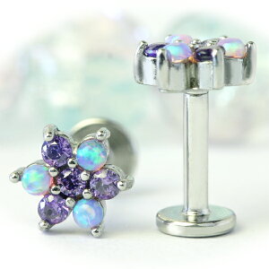 iȃIp[×CZt[ubg@Sfނ̃I[316LT[WJXeX@AM[Ή@C^[i@{fBsAX@14Q[W@16Q[W@sAX@gKX@R