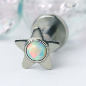 X^[Ip[@ubg@{fBsAX@316LT[WJXeX@×pXeX@14G@sAX@jp@̗ɂȂɂtbg@AM[Ή@g