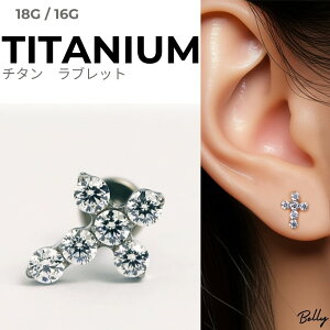 NX ubgsAX@ `^@WRjA \ LLCZ i {fBsAX p@AM[Ή@tbgOKfށ@ASTM-F136@16Q[W/18Q[W@@yLAB