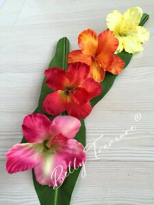 �t���_���X�@�n�C�r�X�J�X �w�A�N���b�v�@�n���C�A�����@�t���_���X�ߑ� �T�b�V���h���X �_���X�ߑ� �t�� �^�q�`�A�� �����s�[�X �X�e�[�W�ߑ� �n���C �_���X�h���X �p�[�e�B�[�h���X ��