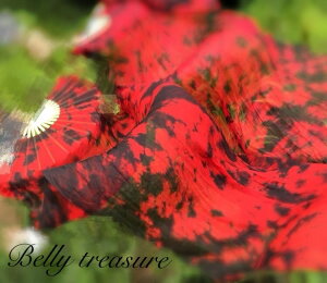 E2{VNt@x[@bh^C_C HWWD-04-202106