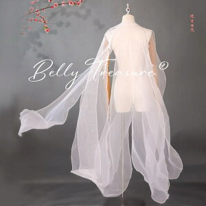 ベリーダンス 衣装 2 Pair アームバンド Armlets Arm sleeve 12 カラー コスチューム ダンス