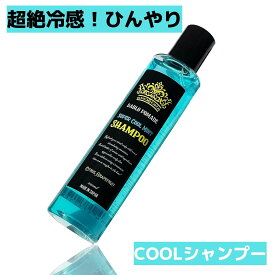 【店内最大☆50％OFF】＼楽天スーパーSALE／＼頭皮、スッキリ爽快ひんやり／ BABLO POMADE ミント シャンプー メンズ アミノ酸 スーパー クール 爽快 メントール 冷感 ミントシャンプー グレープフルーツ いい香り 夏 頭皮 冷たいシ