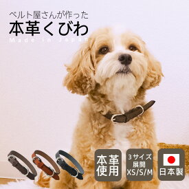犬 首輪 犬首輪 犬の首輪 本革 牛革 一枚革 丈夫 おしゃれ かわいい 迷子札 中型犬 小型犬 小型犬用 超小型犬 いぬ くびわ 革 レザー 皮 軽い 犬用首輪 sgoods