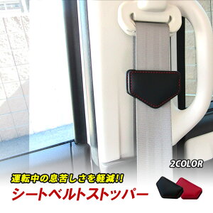 V[gxg Xgbp[ xg Nbv Jo[  Œ J[pi ԗpi J[ObY U[ V[gxgXgbp[  JX^p[c ANZT[ 킢 Y fB[X 