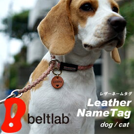 犬 名札 名前 迷子札 ネームタグ ネームプレート チャーム ドッグタグ キャット 猫 名前入れ 名入れ レーザー刻印 セミオーダー ペット ペンダント アクセサリー ギフト プレゼント 革 本革 レザー 栃木レザー 栃木レザー 日本製 8文字まで