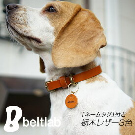 【日本製 名札付き】【栃木レザー 3色】首輪 犬 革 栃木レザー カラー 名札 名前 迷子札 ネームタグ ネームプレート チャーム ドッグタグ 名前入れ 名入れ レーザー刻印 ペット アクセサリー ギフト プレゼント 本革 レザー 日本製 8文字まで