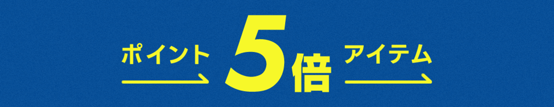 ポイント5倍アイテム！