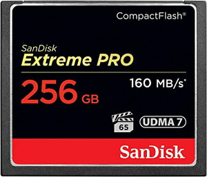 256GB SanDisk/TfBXN RpNgtbV 160MB/s 1067{ UDMA7Ή COe[ Extreme Pro SDCFXPS-256G-X46