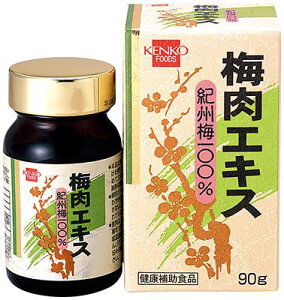 Kenko Foods Nt[Y ~GLX 90g 2Zbg