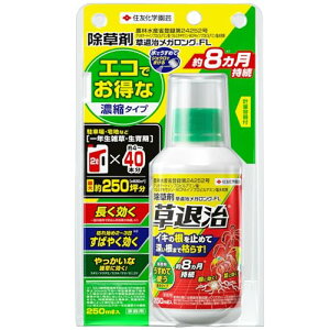 �Z�F���w���| ������ ���ގ����K�����OFL 250ml ���� ���� �ő�U�z2500* �t�� ���t