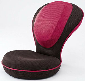 PROIDEA vCfA w؂GUUUNp֎q (sN)