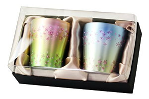 HORIE(zG) VY `^d^u[ ؃`^ 250cc  sN^u[ 2Zbg T-15-OB250PB