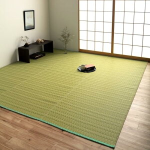 TCYF255 x 170 cm (`) CPqR O J[ybg { |vs J[ybg oJ cn3 O[ 􂦂  ~  SU   ybg  L ɋ