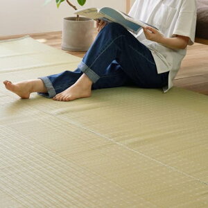 TCYF191 x 286 cm (`) (Hagihara) 􂦂 J[ybg  O[ {3 191*286cm ~ O q ۈ牀 ybg {