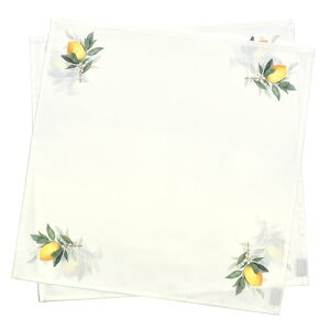 X^CfR[(STYLE Decor) e[uivL/g[V 2Zbg c[ z ӂ itL J[ivL  H@ W5105200