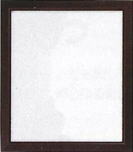 �I�����p�X���N �ؐ��t���[��W-19