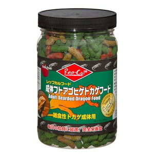 roA bvJ ̃tgASqQgJQt[h 226g