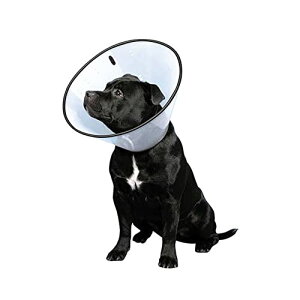 t@^W[[h  VETJ[ ̑ NA ^p XL TCY