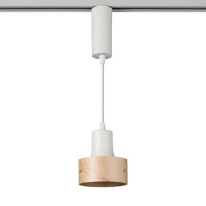 Gp (ELPA) LEDCeBOo[pCg CeA  ԐڏƖ AC100V 50/60Hz 320lm LRS-PW01D(IV)