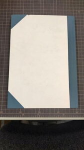 �����H�� ���� �a��100��12�s���i ��331