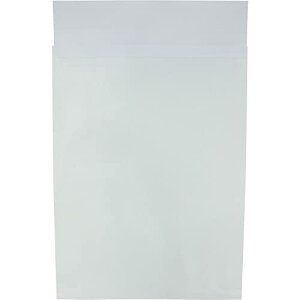 LOR[|[V  |XgC  250*c335mm ЉN  100g 100 190421