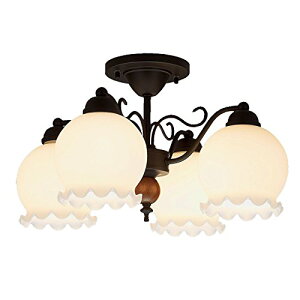 �m���V�����f���A*4.5�� LED�d�� CD-4289-L