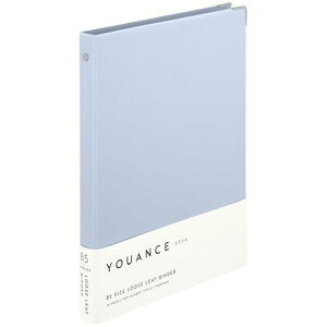 }} [Y[t oC_[ AX B5 26 u[O[ F119-41