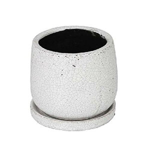 �_���g��(Dulton) ���|�p�i �O���C�Y�h�|�b�g ���E���h �z���C�g M�T�C�Y �ꌊ���� GLAZED POT ROUND WHITE K655-851MWT