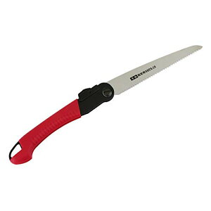 g ֐n ܍ Kтɂ XeX SGPS-19