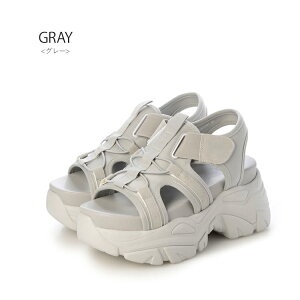 T_ xN X|T {[T_ y JWA Xj[J[T_ EVOL 5341