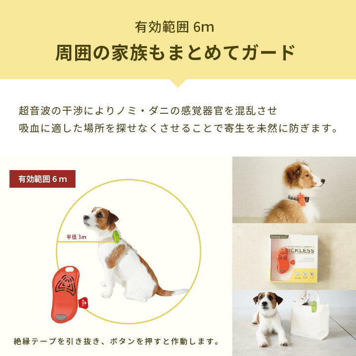 楽天市場】\ 7/19(日)20時よりエントリーでP5倍 /【公式】「チックレス 