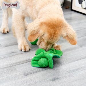 uGhEv  m[Y[N@{[@gC p mߋ  ybgpi  ^s XgX B XlC@ʂ