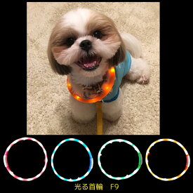 【光る首輪】 F9 LED ライト USB充電式 夜 さんぽ 安心 安全 リード ハーネス カラー 犬用 猫用 犬 猫 長さ調節可 小型犬 中型犬 大型犬 ペット用品 蛍光 発光 点滅 点灯 事故防止 グッズ ケア ウォーキング イベント 散歩 装飾 どんぐり バンド アクセサリー 首輪 LAROO