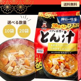 神州一味噌とん汁 20食とん汁 生みそタイプ インスタント レトルト みそ汁 本格 朝食 お弁当 ランチ 夜食 簡単調理 保存食 即席 個包装 大容量 業務用 コストコ 人気商品 送料無料