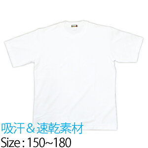  ̑ ̑yjpzTCY150`180 w Z  z y532P19Apr16z
