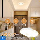 【2個セット】LEDシーリングライト 小型 ledセンサーライト 4畳 人感センサー付 節電 屋内 照明器具 天井照明 シーリング 玄関 廊下灯 キッチン 洗面所 トイレ 階段 車庫 ベランダ 簡単取付 電球色 昼白色 【10W 900lm 節電】