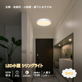 楽天市場 内玄関 照明 人感センサーの通販