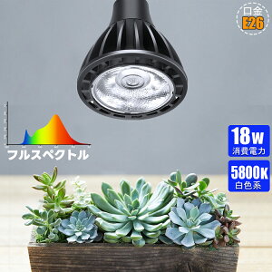 A琬Cg ϗtA A 18W E26 ACgled A 琬Cg    ȃGl F FntXyNg r[` ȃGl 琬 vgCg͔| ƒ