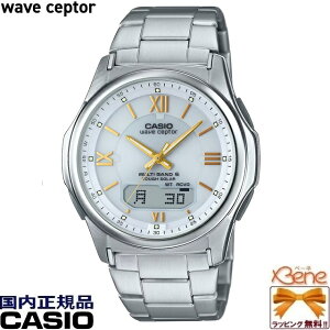ViEKi CASIO/JVI wave ceptor/EF[uZv^[ ی^/Eht^oh Y^t\[[dg 3j AiO fW^ XeX 5Ch tI[gJ_[ Vo[×